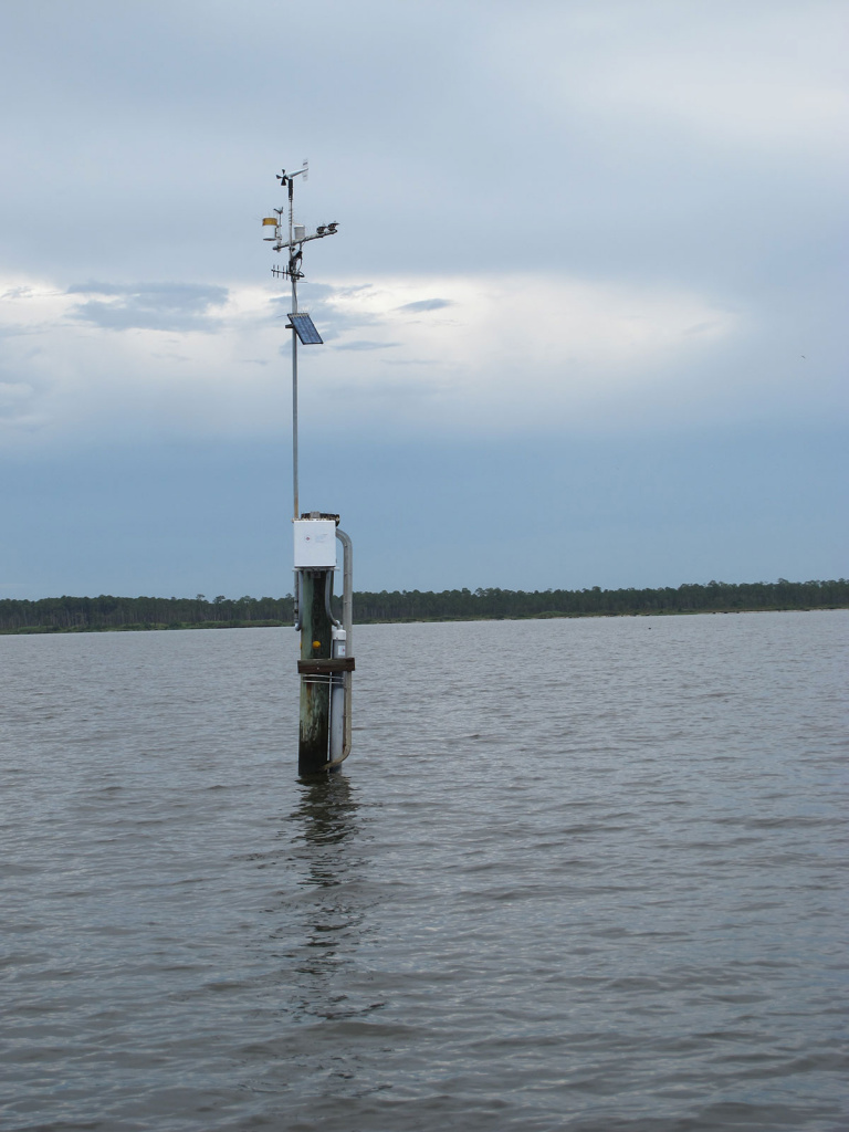 мониторинг цветения водорослей мониторинг цветения водорослей